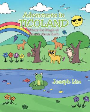 Book cover of Adventures in Ticoland