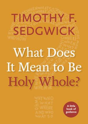 Cover of the book What Does It Mean to Be Holy Whole? by Jenifer Gamber, Bill Lewellis