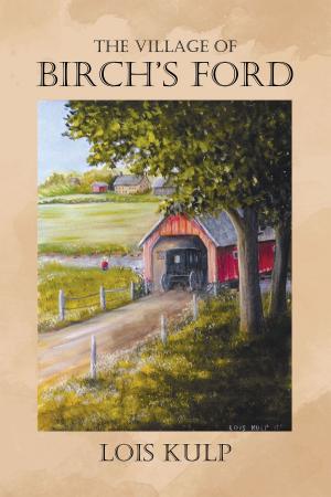 Cover of the book The Village of Birch's Ford by Paul Tobias Dahlmann