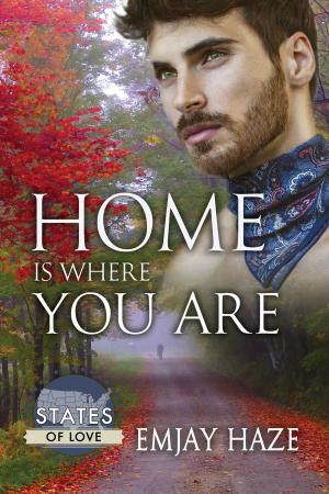 Cover of the book Home Is Where You Are by Erik Hyrkas