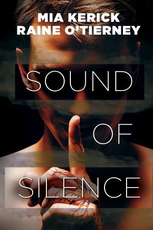Cover of the book Sound of Silence by J.L. O'Faolain