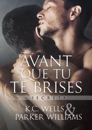 Cover of the book Avant que tu te brises by Amy Gregory