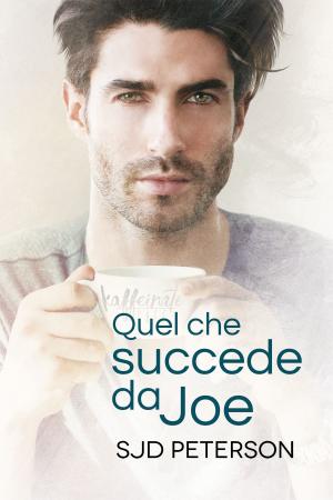 Cover of the book Quel che succede da Joe by M.A. Church