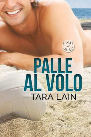 Book cover of Palle al volo