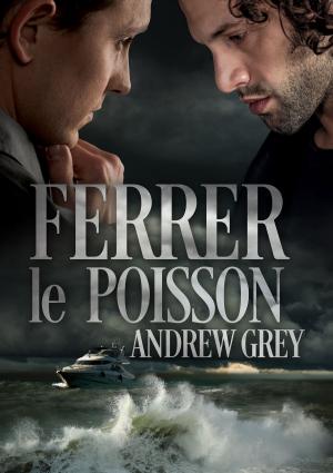 Cover of the book Ferrer le poisson by Amy Lane