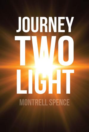 Cover of the book Journey Two Light by Jacqueline Johnson Goon