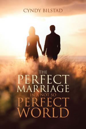 Cover of the book The Perfect Marriage by Karl Olson