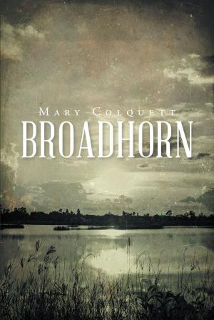 Cover of the book Broadhorn by Jean Nelson Woomer