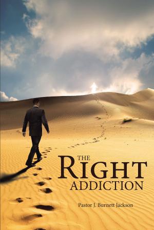 Cover of the book The Right Addiction by Kelly M. Kingsly PhD