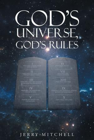 Cover of the book God's Universe, God's Rules by Christopher W. Hussey