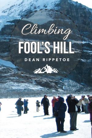 Cover of the book Climbing Fool's Hill by David  D Ferman