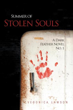 Cover of the book Summer of Stolen Souls by Diane Setterfield