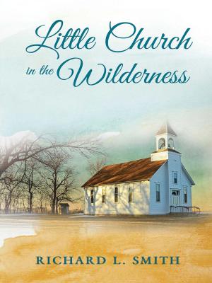 Book cover of Little Church in the Wilderness
