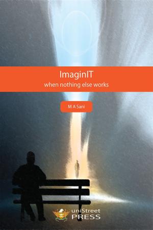 Cover of the book ImaginIT by Nancy Queen, Mary Ellen O'Connell