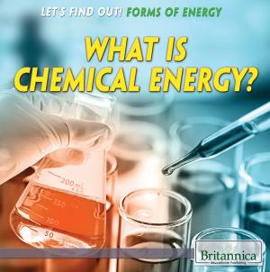 Book cover of What Is Chemical Energy?