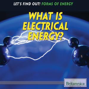 Cover of the book What Is Electrical Energy? by William White and Nicholas Croce