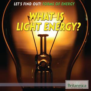 Cover of the book What Is Light Energy? by Heather Moore Niver