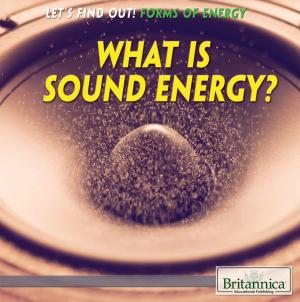 Cover of the book What Is Sound Energy? by Paula Johanson