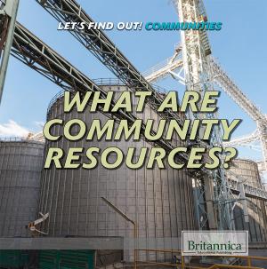 Cover of the book What Are Community Resources? by Shalini Saxena
