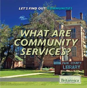 Cover of What Are Community Services?