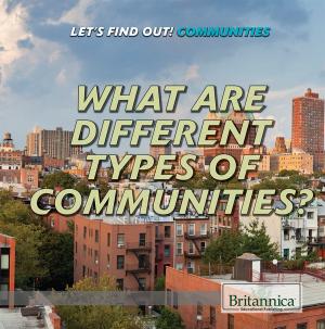 Cover of the book What Are Different Types of Communities? by Lewis Steinberg