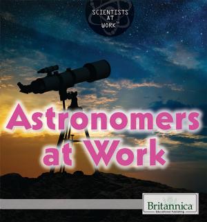 Book cover of Astronomers at Work