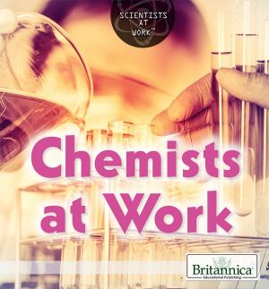 Cover of the book Chemists at Work by Heather Moore Niver