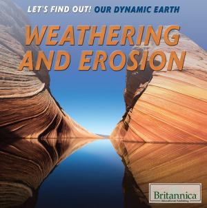 Cover of the book Weathering and Erosion by Tracey Baptiste