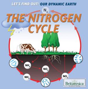 Cover of the book The Nitrogen Cycle by Kathy Campbell