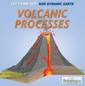 Cover of the book Volcanic Processes by Marcia Amidon Lusted