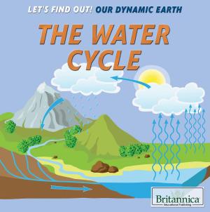 Cover of the book The Water Cycle by Andrea Sclarow