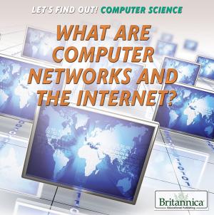Cover of the book What Are Computer Networks and the Internet? by Julia J. Quinlan