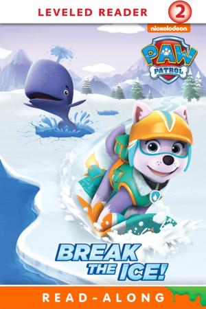 bigCover of the book Break the Ice! (PAW Patrol) by 