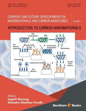 Book cover of Introduction to Carbon Nanomaterials