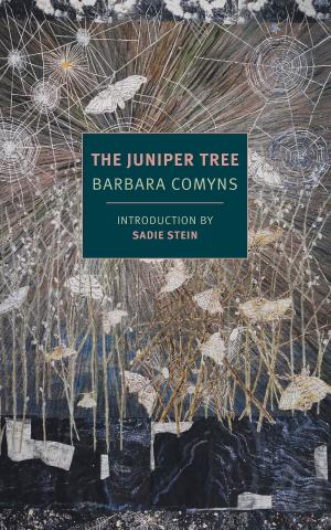 Cover of the book The Juniper Tree by Elizabeth Hardwick