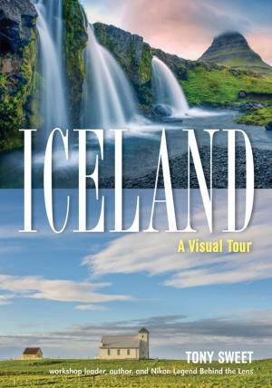 Cover of the book Iceland by Steven H Begleiter