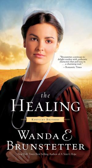 Cover of the book The Healing by Marjorie Vawter