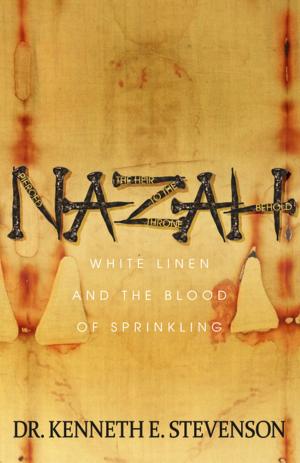 Cover of the book NAZAH by Dan Hettinger