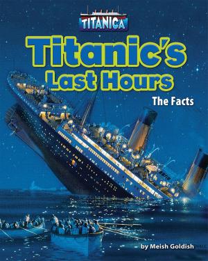 Cover of the book Titanic’s Last Hours by Steven L. Stern
