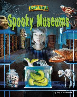 Cover of the book Spooky Museums by Joyce Markovics