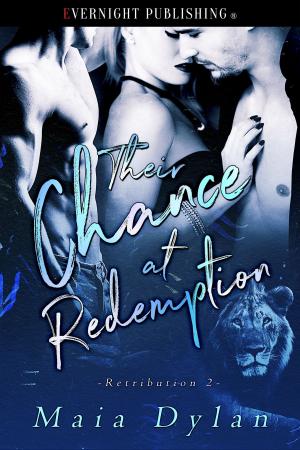 Cover of the book Their Chance at Redemption by Kacey Hammell