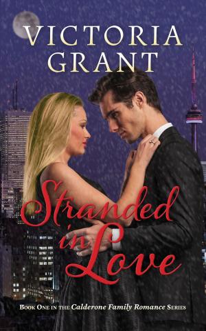 Cover of the book Stranded in Love by Dalous Gabriel Yaw
