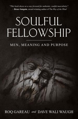 Cover of the book Soulful Fellowship: Men, Meaning and Purpose by Richard Taylor Jr
