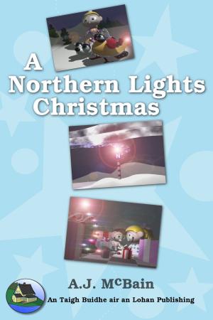 Book cover of A Northern Lights Christmas