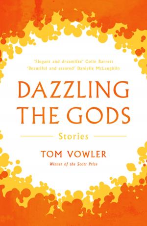 Cover of the book Dazzling the Gods by Robert Wringham