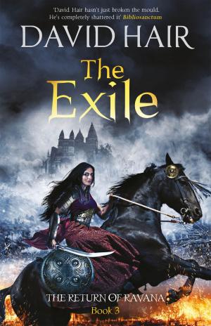 Cover of the book The Exile by Anders Roslund, Börge Hellström