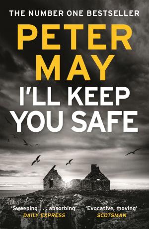 Cover of the book I'll Keep You Safe by Brian Freeman