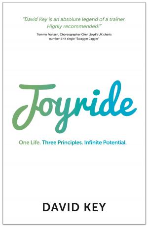 Cover of Joyride: One Life. Three Principles. Infinite Potential.