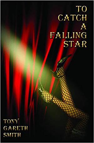 Cover of the book To Catch a Falling Star by David Holdaway