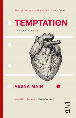 Cover of the book Temptation: A User’s Guide by Vanessa Gebbie
